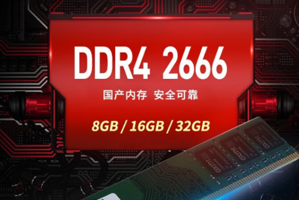 國產內存.png