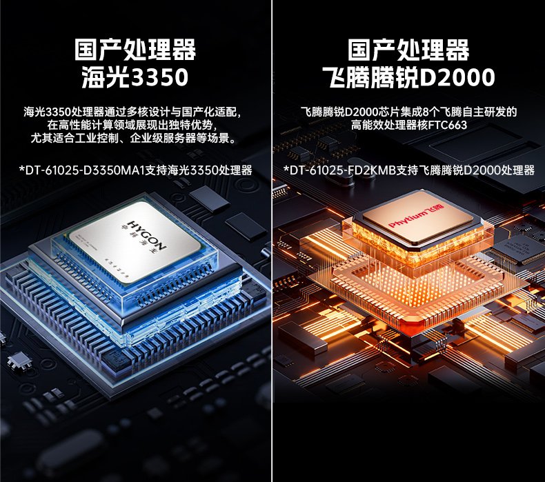 國產化海光服務器,國產自主可控CPU與操作系統方案,DT-61025-D3350MA.jpg